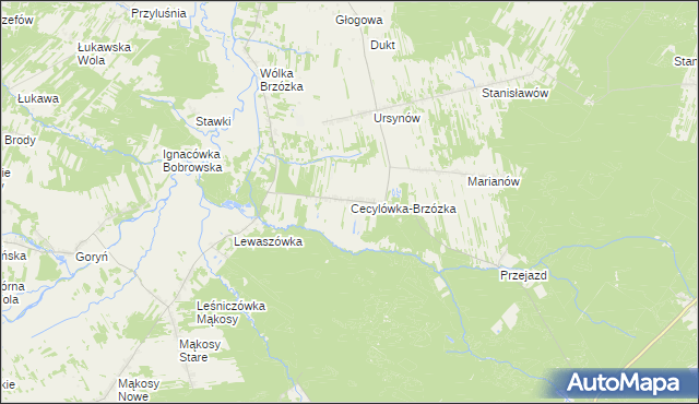 mapa Cecylówka-Brzózka, Cecylówka-Brzózka na mapie Targeo