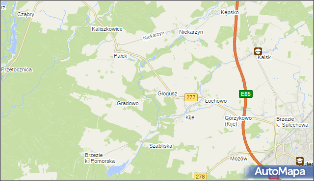 mapa Głogusz, Głogusz na mapie Targeo