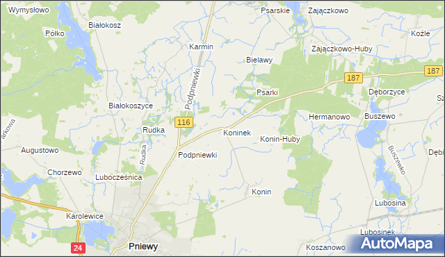 mapa Koninek gmina Pniewy, Koninek gmina Pniewy na mapie Targeo