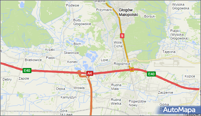 mapa Lipie gmina Głogów Małopolski, Lipie gmina Głogów Małopolski na mapie Targeo