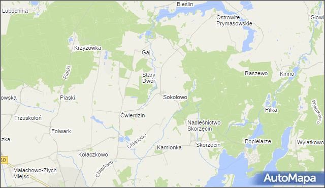 mapa Sokołowo gmina Witkowo, Sokołowo gmina Witkowo na mapie Targeo
