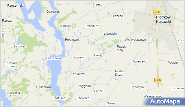 mapa Sokoły gmina Piotrków Kujawski, Sokoły gmina Piotrków Kujawski na mapie Targeo