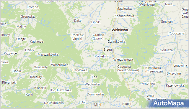 mapa Kobielnik, Kobielnik na mapie Targeo