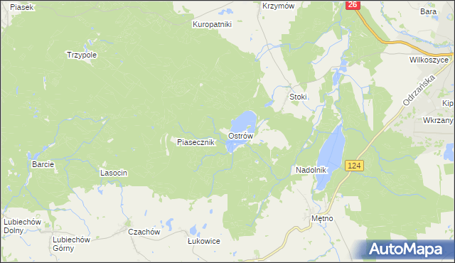 mapa Ostrów gmina Chojna, Ostrów gmina Chojna na mapie Targeo