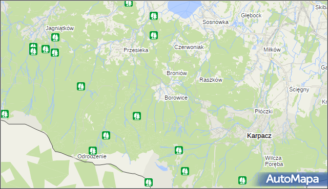 mapa Borowice gmina Podgórzyn, Borowice gmina Podgórzyn na mapie Targeo