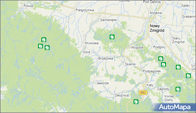 mapa Brzezowa gmina Nowy Żmigród, Brzezowa gmina Nowy Żmigród na mapie Targeo