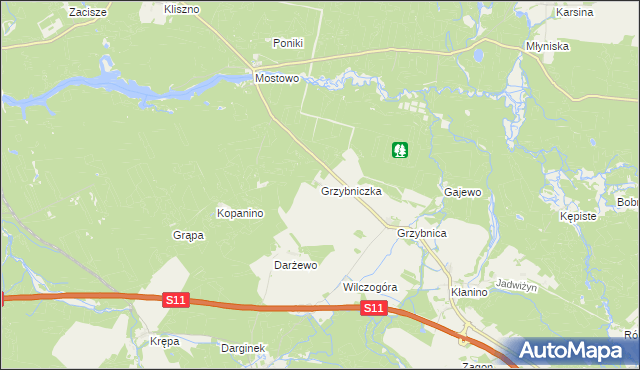 mapa Grzybniczka, Grzybniczka na mapie Targeo