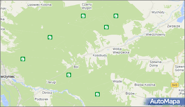 mapa Kosobudy gmina Zwierzyniec, Kosobudy gmina Zwierzyniec na mapie Targeo