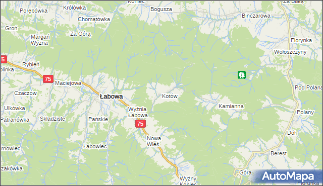 mapa Kotów gmina Łabowa, Kotów gmina Łabowa na mapie Targeo