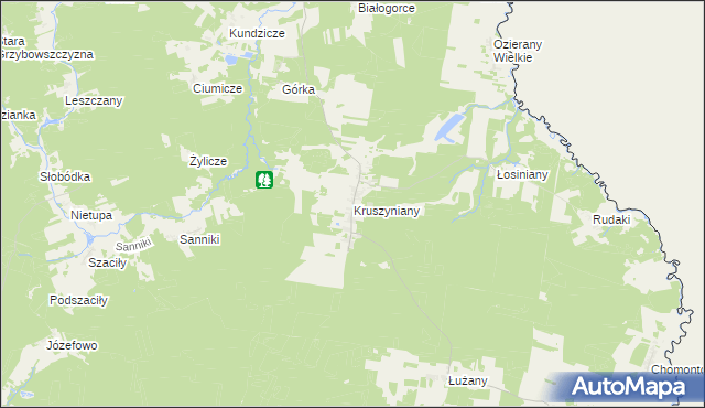 mapa Kruszyniany, Kruszyniany na mapie Targeo