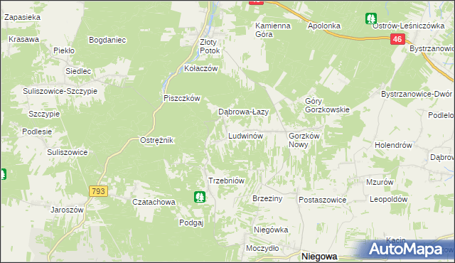 mapa Ludwinów gmina Niegowa, Ludwinów gmina Niegowa na mapie Targeo