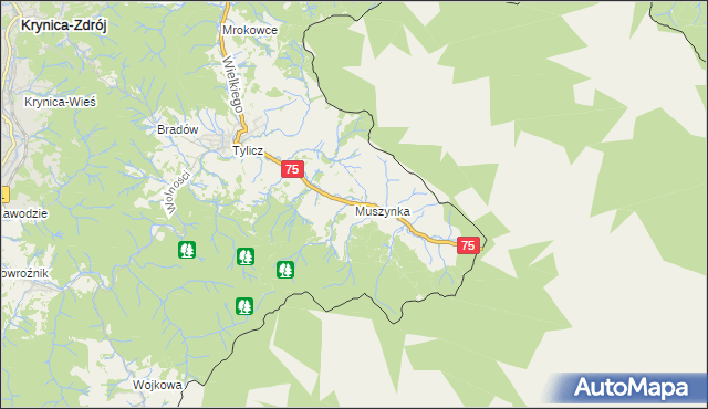 mapa Muszynka, Muszynka na mapie Targeo