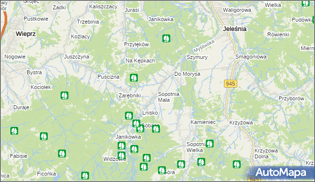 mapa Sopotnia Mała, Sopotnia Mała na mapie Targeo