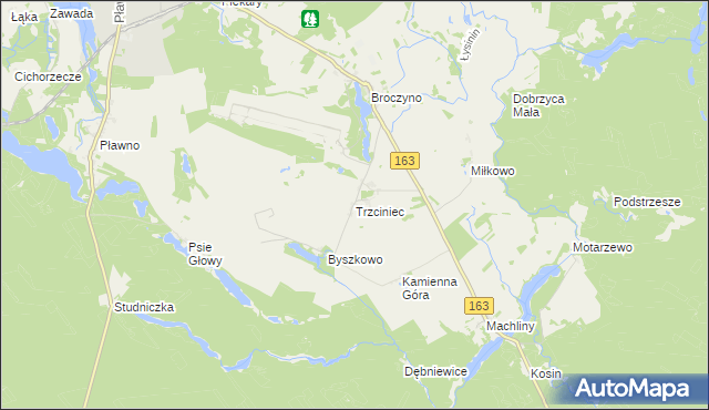 mapa Trzciniec gmina Czaplinek, Trzciniec gmina Czaplinek na mapie Targeo