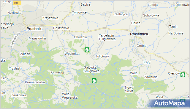 mapa Tuligłowy gmina Rokietnica, Tuligłowy gmina Rokietnica na mapie Targeo