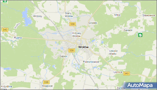 mapa Wołów, Wołów na mapie Targeo