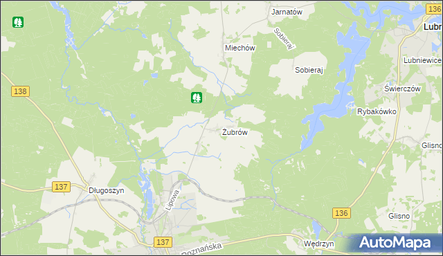mapa Żubrów, Żubrów na mapie Targeo
