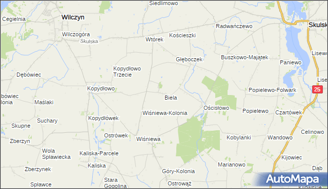 mapa Biela gmina Wilczyn, Biela gmina Wilczyn na mapie Targeo