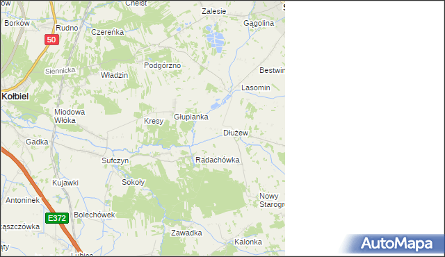 mapa Dłużew, Dłużew na mapie Targeo