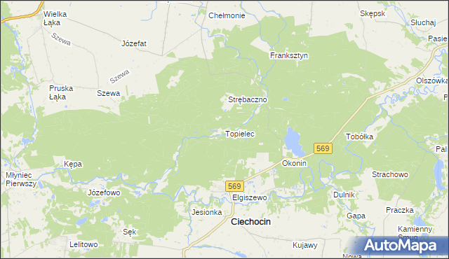 mapa Topielec, Topielec na mapie Targeo