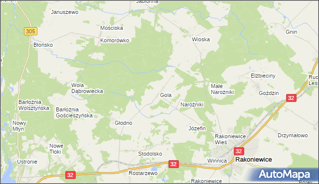 mapa Gola gmina Rakoniewice, Gola gmina Rakoniewice na mapie Targeo