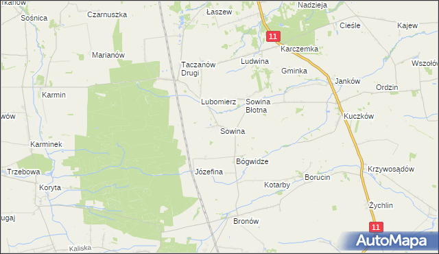mapa Sowina gmina Pleszew, Sowina gmina Pleszew na mapie Targeo