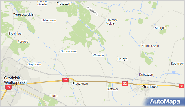 mapa Woźniki gmina Grodzisk Wielkopolski, Woźniki gmina Grodzisk Wielkopolski na mapie Targeo
