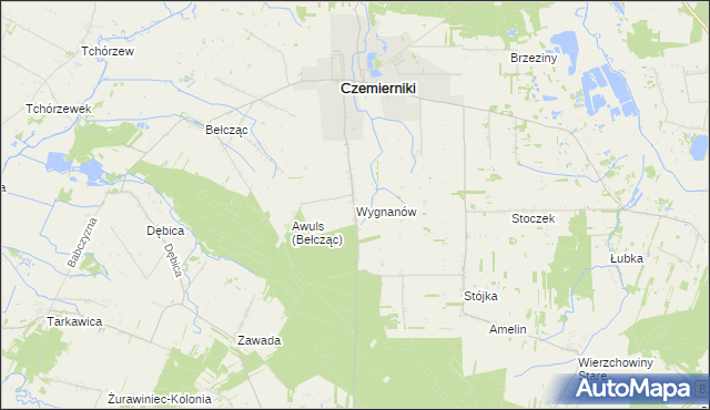 mapa Wygnanów gmina Czemierniki, Wygnanów gmina Czemierniki na mapie Targeo