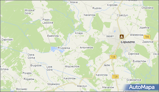mapa Antonielów gmina Łopuszno, Antonielów gmina Łopuszno na mapie Targeo