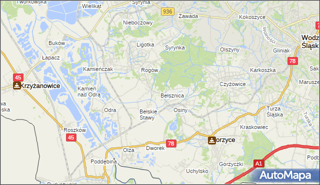 mapa Bełsznica, Bełsznica na mapie Targeo