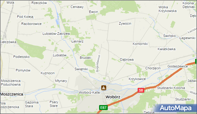 mapa Bogusławice gmina Wolbórz, Bogusławice gmina Wolbórz na mapie Targeo