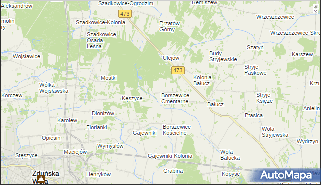 mapa Borszewice Cmentarne, Borszewice Cmentarne na mapie Targeo