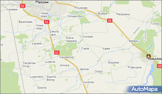 mapa Cieśle gmina Gołuchów, Cieśle gmina Gołuchów na mapie Targeo