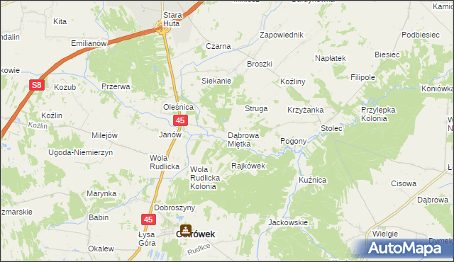 mapa Dąbrowa Miętka, Dąbrowa Miętka na mapie Targeo