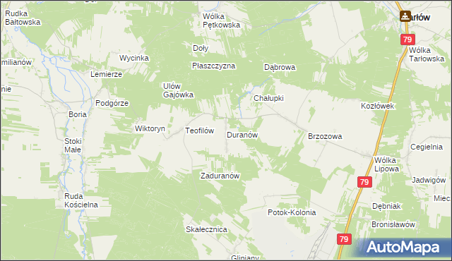 mapa Duranów, Duranów na mapie Targeo