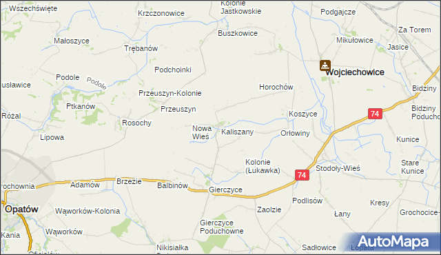 mapa Kaliszany gmina Wojciechowice, Kaliszany gmina Wojciechowice na mapie Targeo
