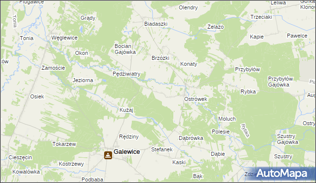 mapa Kaźmirów, Kaźmirów na mapie Targeo