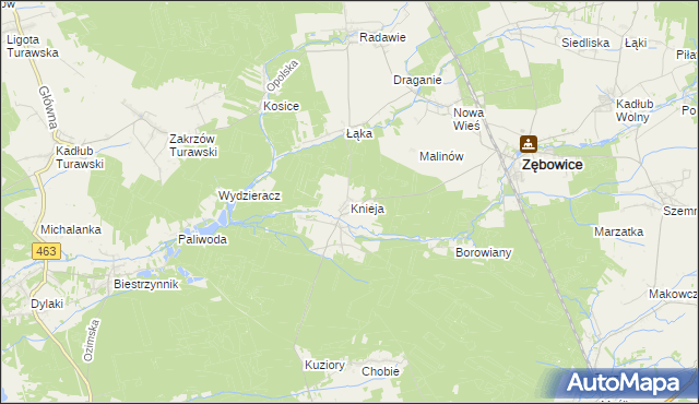 mapa Knieja gmina Zębowice, Knieja gmina Zębowice na mapie Targeo