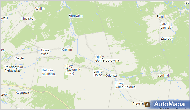 mapa Lipiny Górne-Borowina, Lipiny Górne-Borowina na mapie Targeo