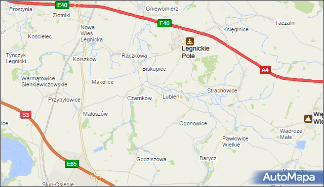 mapa Lubień gmina Legnickie Pole, Lubień gmina Legnickie Pole na mapie Targeo