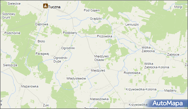 mapa Międzyleś Osada, Międzyleś Osada na mapie Targeo