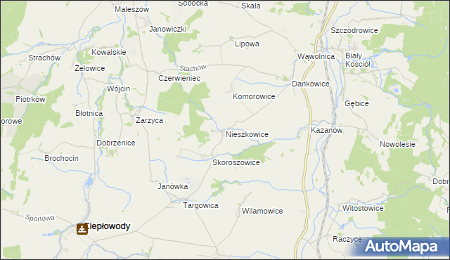 mapa Nieszkowice gmina Strzelin, Nieszkowice gmina Strzelin na mapie Targeo