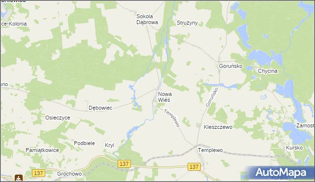 mapa Nowa Wieś gmina Bledzew, Nowa Wieś gmina Bledzew na mapie Targeo