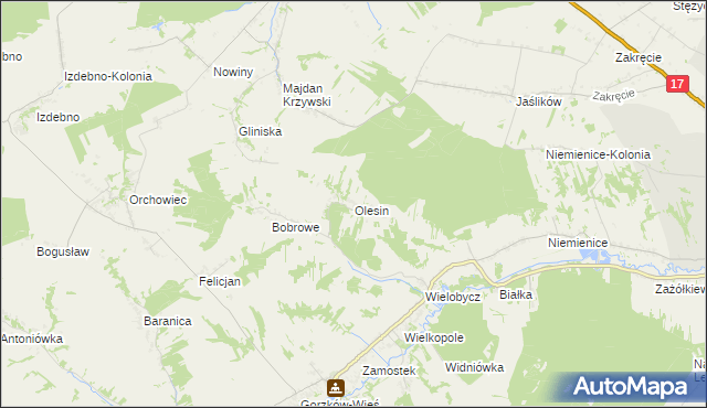 mapa Olesin gmina Gorzków, Olesin gmina Gorzków na mapie Targeo