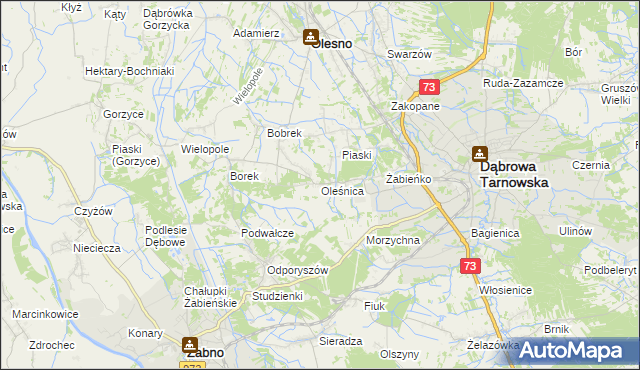 mapa Oleśnica gmina Olesno, Oleśnica gmina Olesno na mapie Targeo