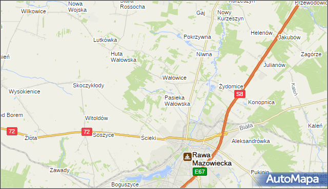 mapa Pasieka Wałowska, Pasieka Wałowska na mapie Targeo