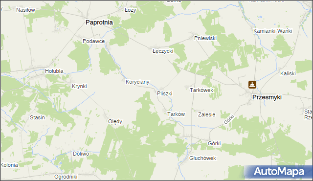 mapa Pliszki, Pliszki na mapie Targeo