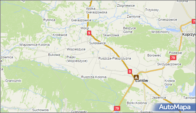 mapa Ruszcza-Płaszczyzna, Ruszcza-Płaszczyzna na mapie Targeo