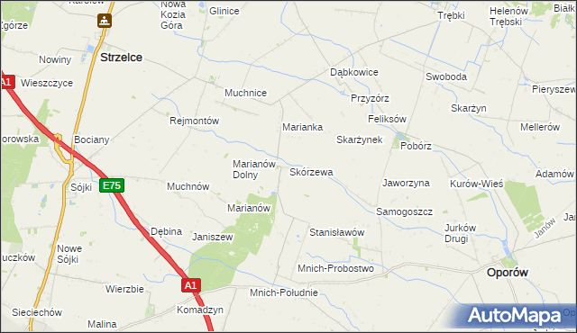 mapa Skórzewa, Skórzewa na mapie Targeo