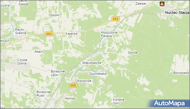 mapa Sycze, Sycze na mapie Targeo
